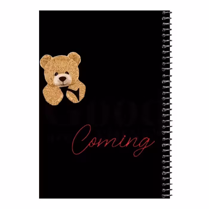 دفتر مشق 80 برگ اس جی مدل تدی نوشته