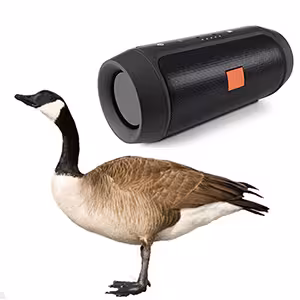 اسپیکر شارژی تقلید صدای غاز