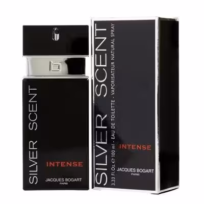ادکلن مردانه سیلور سنت اینتنس Silver Scent Intense حجم 100 میلی لیتر