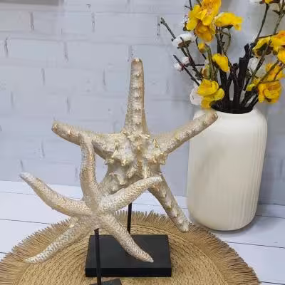 ستاره دریایی رزین کوچک پایه دار