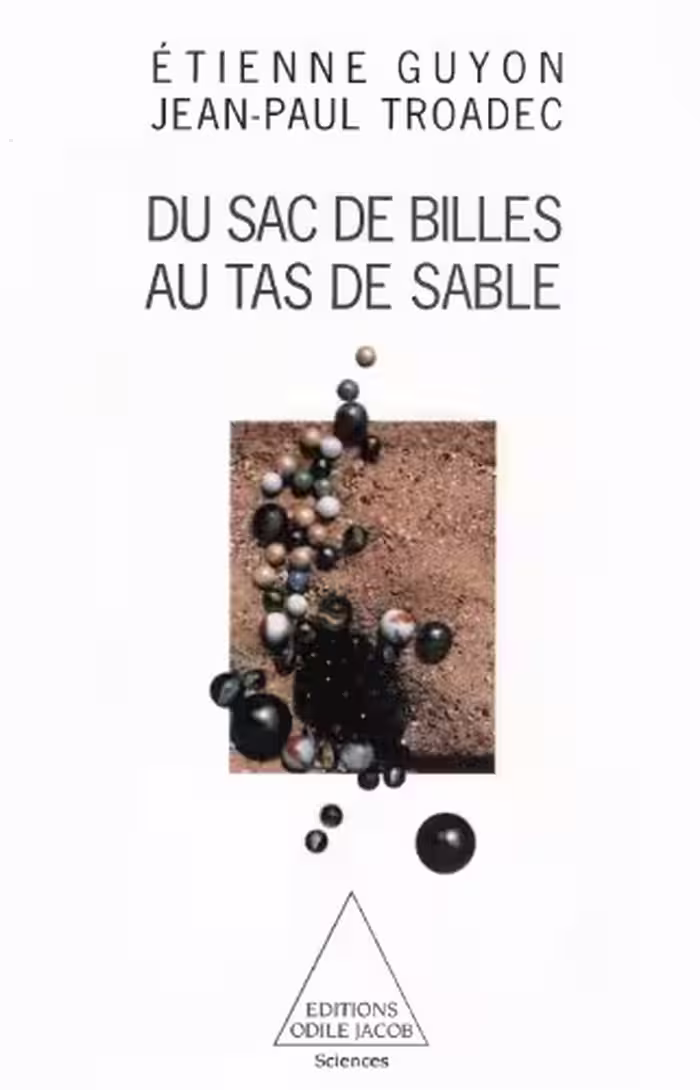 خرید و دانلود نسخه کامل کتاب Du sac de billes au tas de sable