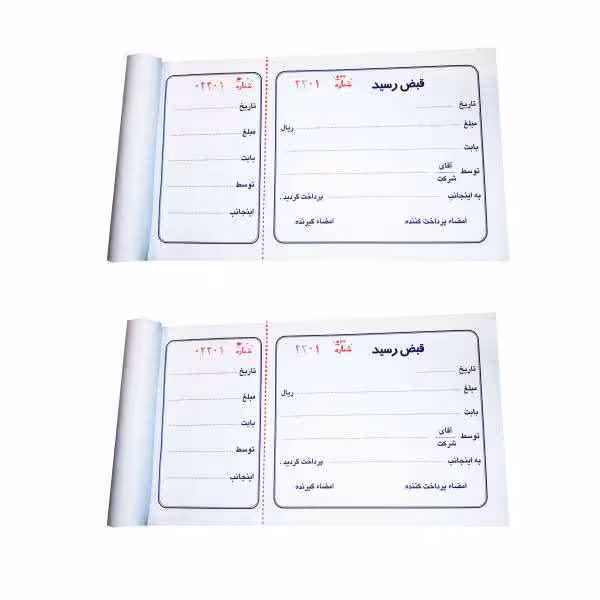 قبض رسیدته چک دار