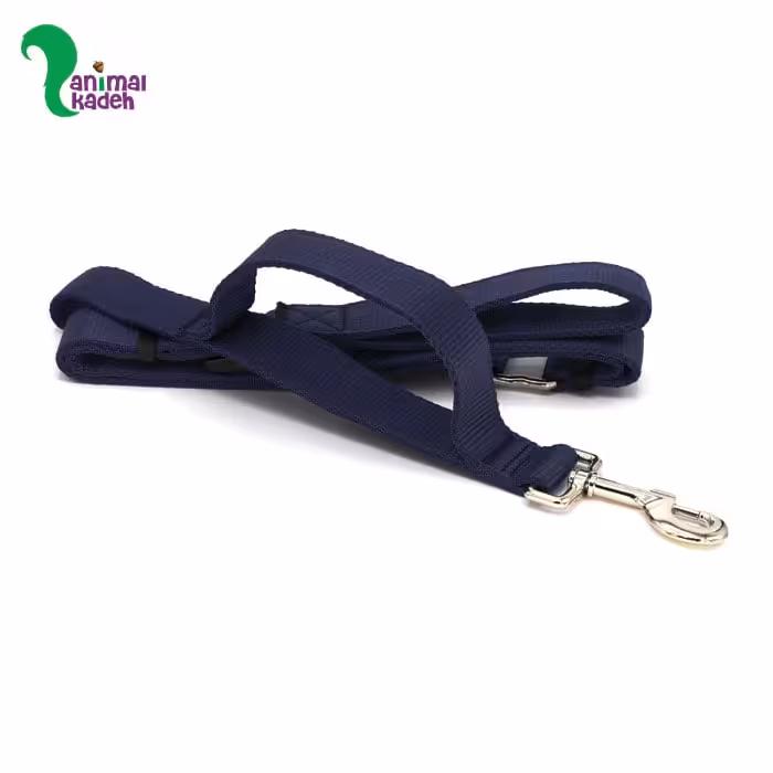 لید تکنیکال مخصوص سگ نژاد متوسط و بزرگ XL برند مگی پت (آبی کاربنی)