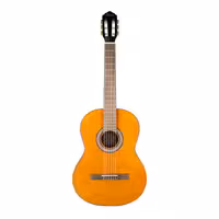 گیتار کارل هافنر HAC204 NT