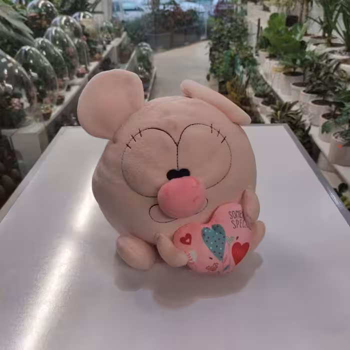 عروسک موش دماغ صورتی در اراک و مرکزی