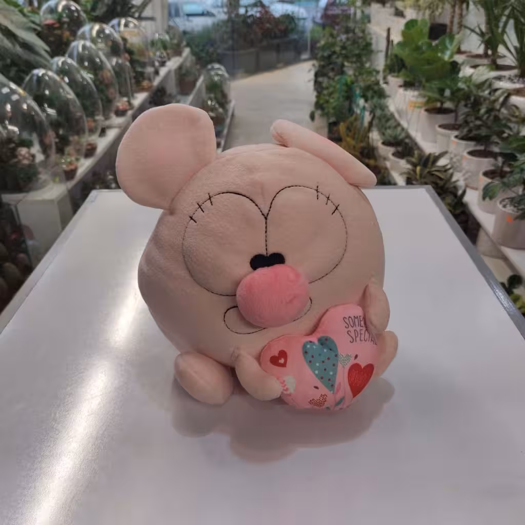 عروسک موش دماغ صورتی در اراک و مرکزی