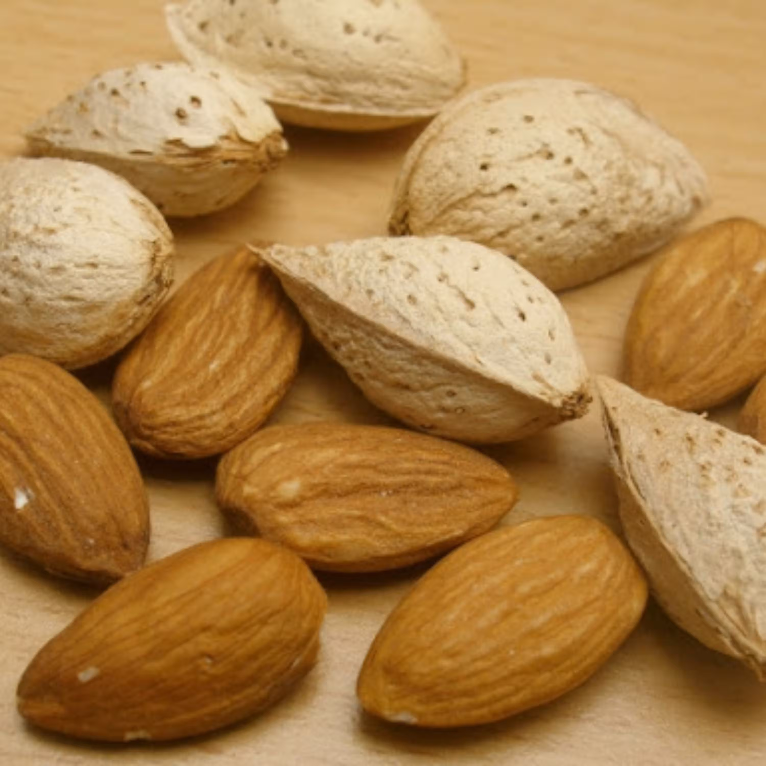 بادام کاغذی 500 گرمی
