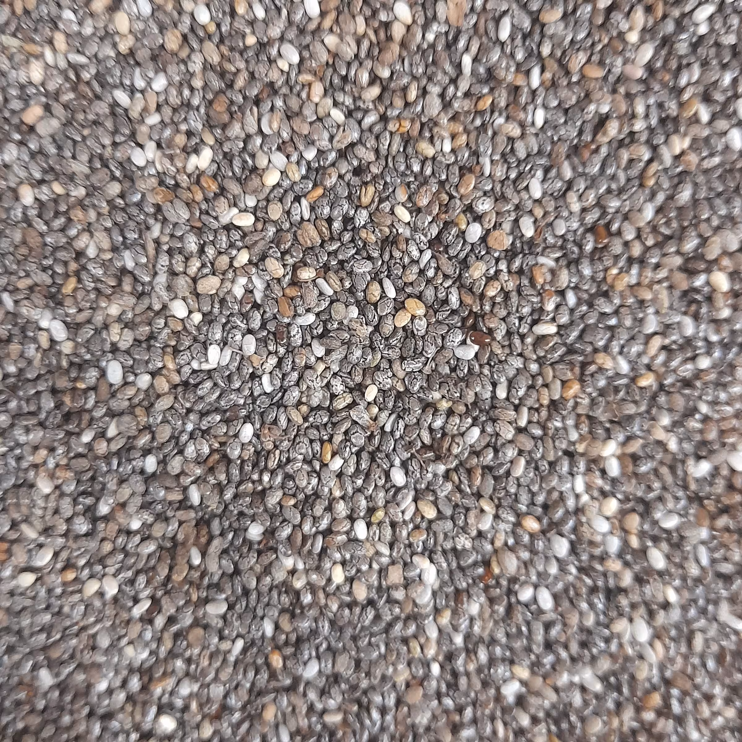 دانه ی چیا 200 گرمی 