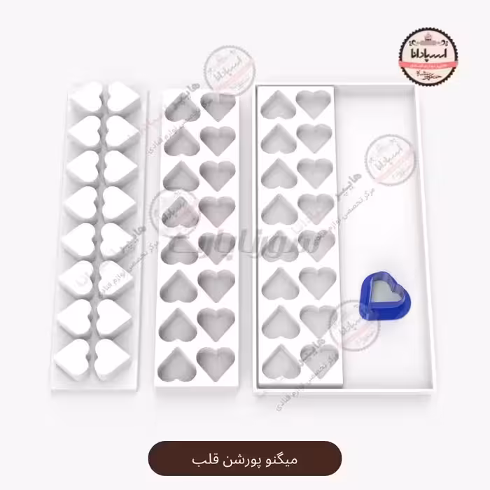 قالب میگنوپورشن قلب