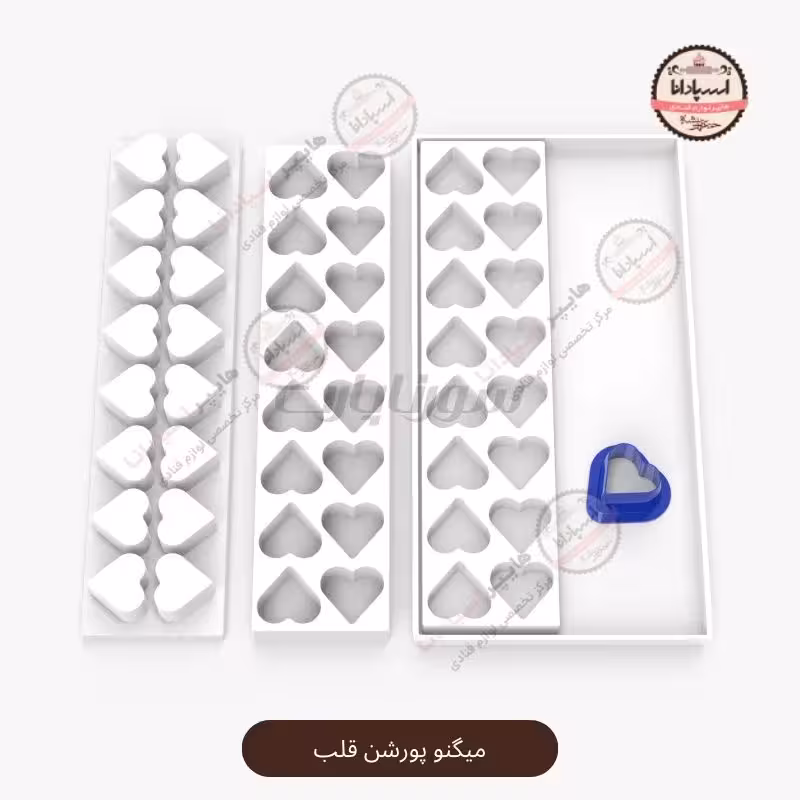 قالب میگنوپورشن قلب