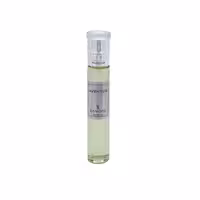 عطر جیبی مردانه صندل مدل INVICTUS حجم 25 میلی لیتر