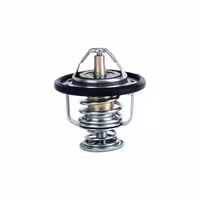 ترموستات دیگنیتی پرستیژ