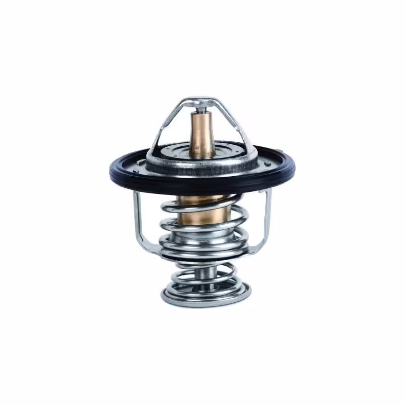 ترموستات دیگنیتی پرستیژ