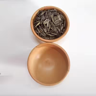 کاسه مدل AS166 مجموعه دو عددی