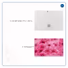برچسب پوششی ماهوت مدل Pink-Flower مناسب برای تبلت مایکروسافت Surface Pro 2 2013