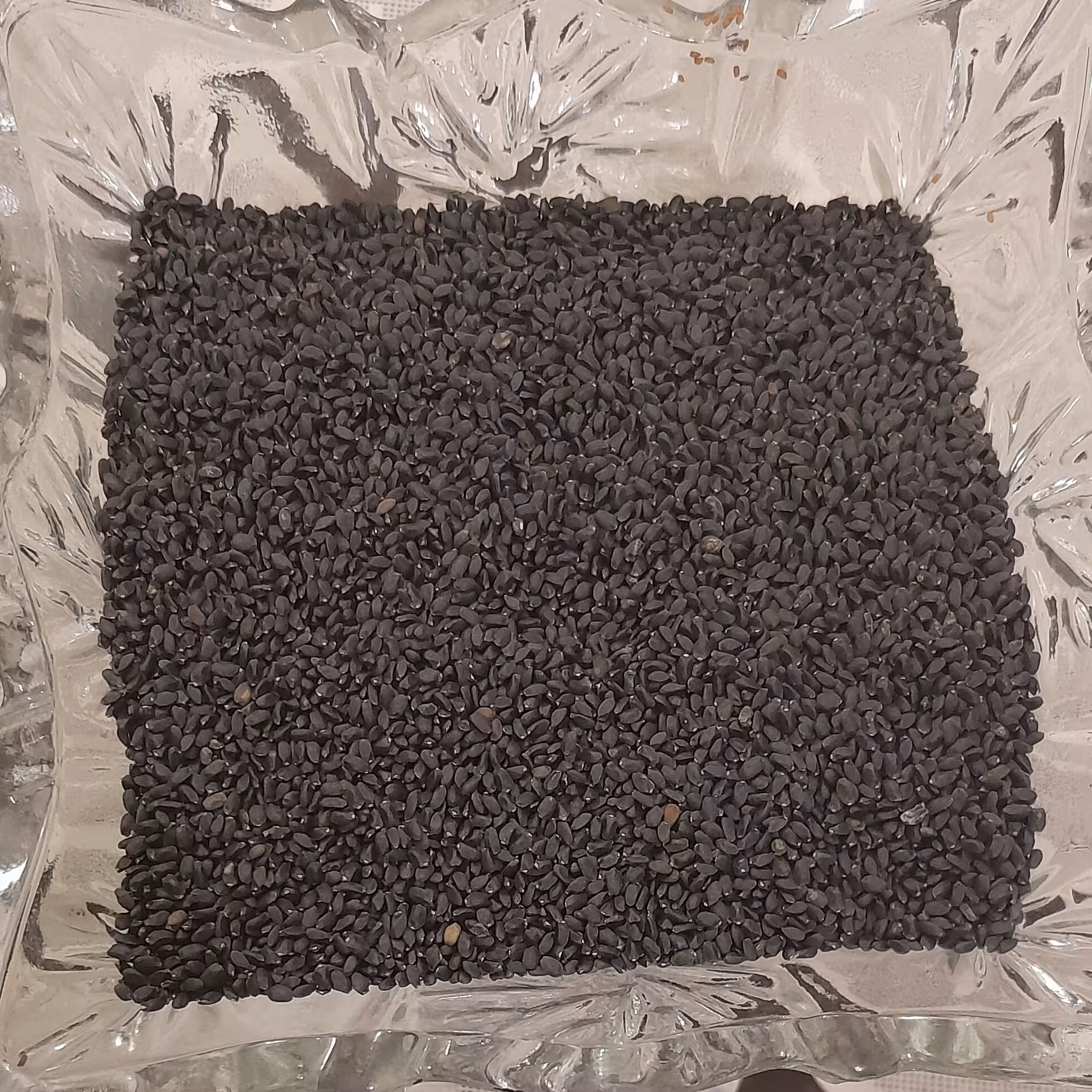 تخم شربتی درشت  پاک شده درجه یک 