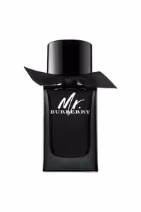 عطر ادکلن باربری مستر باربری ادو پرفیوم | Burberry Mr. Burberry Eau de Parfum