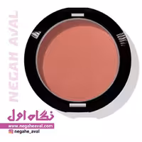 رژگونه وت اند وایلد شماره 484