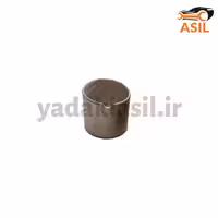 بوش گلدانی پیکان دلتکس