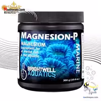 مکمل منیزیم پودری برایت ول