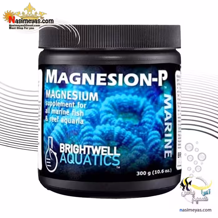 مکمل منیزیم پودری برایت ول