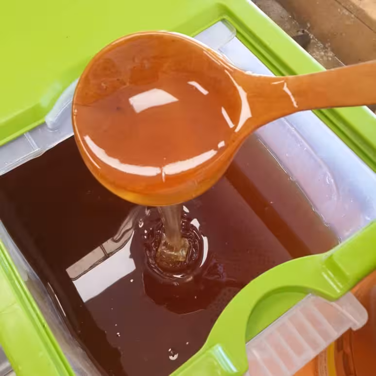 عسل طبیعی گون محصولی از دامنه های سبلان