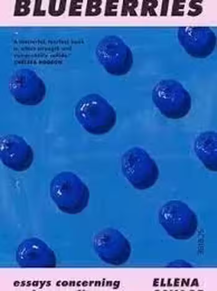 کتاب Blueberries