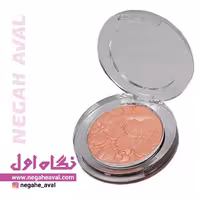 هایلایتر و رژگونه براق اویوا پاریس شماره 04