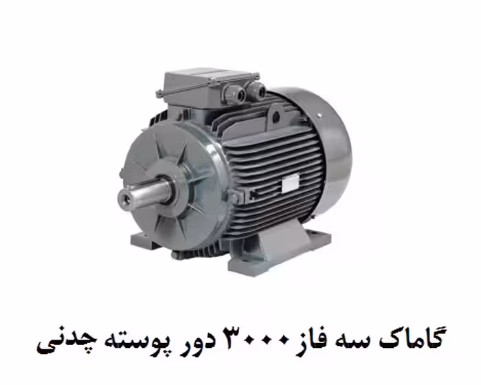 الکتروموتورگاماک  30KW سه فاز 3000 دور