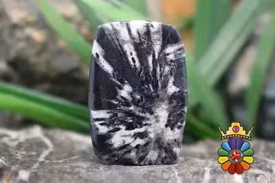 کرایسان تیموم ( سنگ گل داودی)