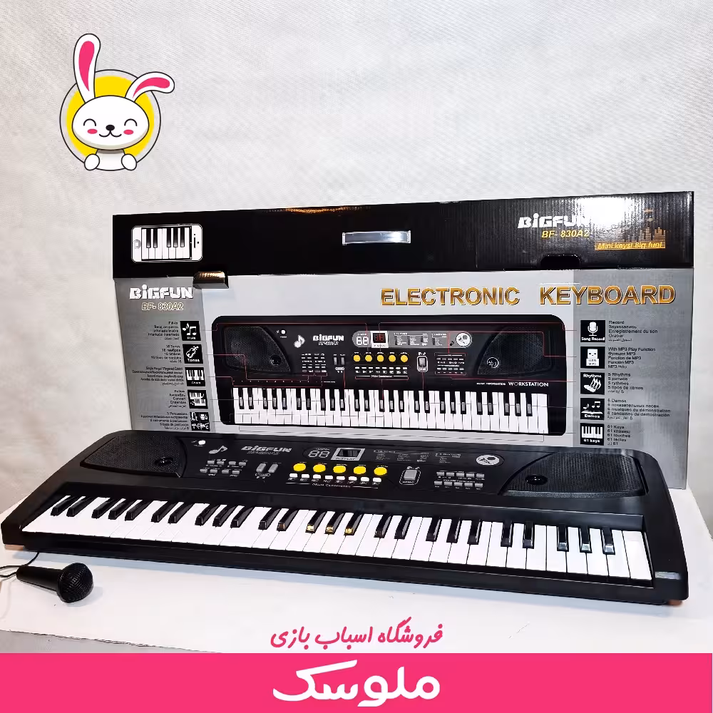 اسباب بازی ارگ بیگفان 830A