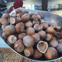 فندق خام با پوست 