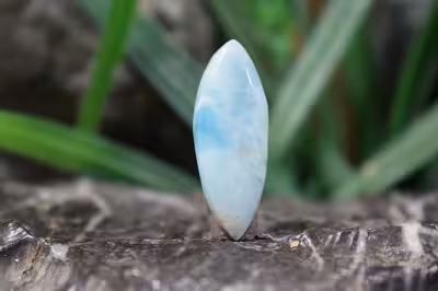 لاریمار اصلی