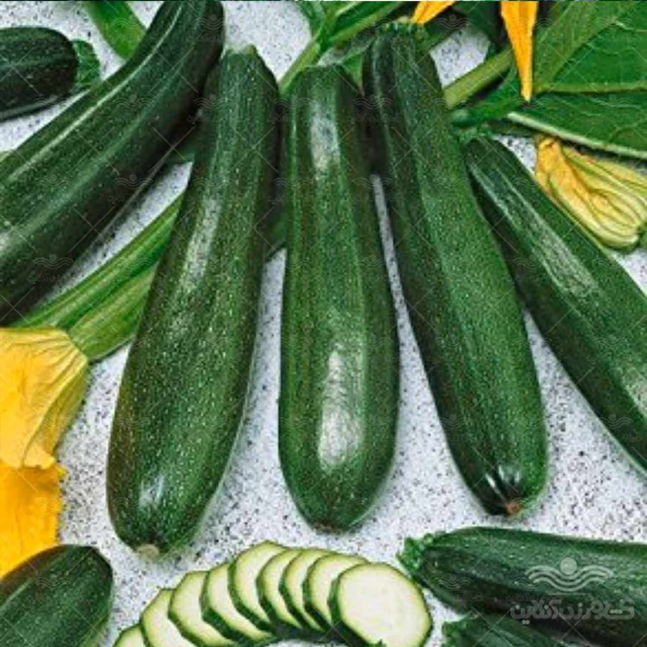 بذر کدو سبز تیره خانگی
