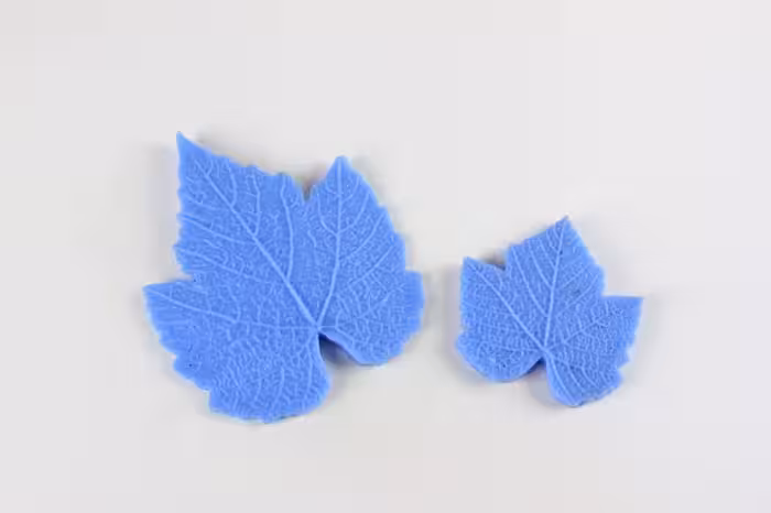 بودکور وينر سيليکوني برگ انگور 2100279