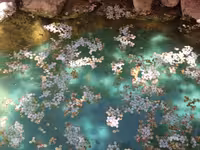 نقاشی منظره رنگ روغن