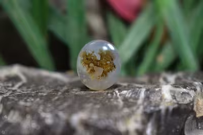 عقیق شجر برزیل