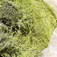 شوید خشک پفکی اعلا 500 گرمی گیاهینو