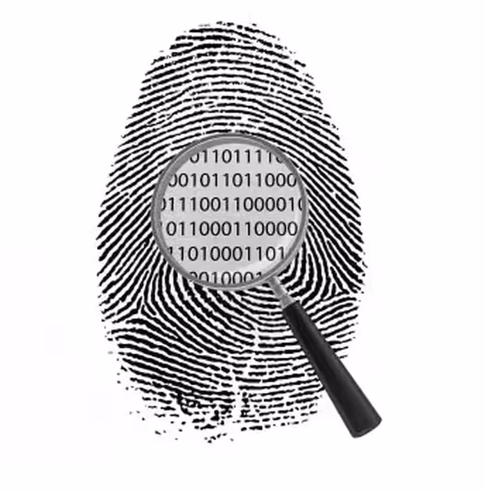 فایل SSL ، امنیت دیجیتالی