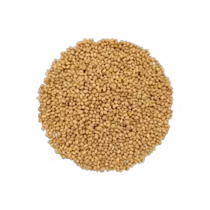 بذر شبدر