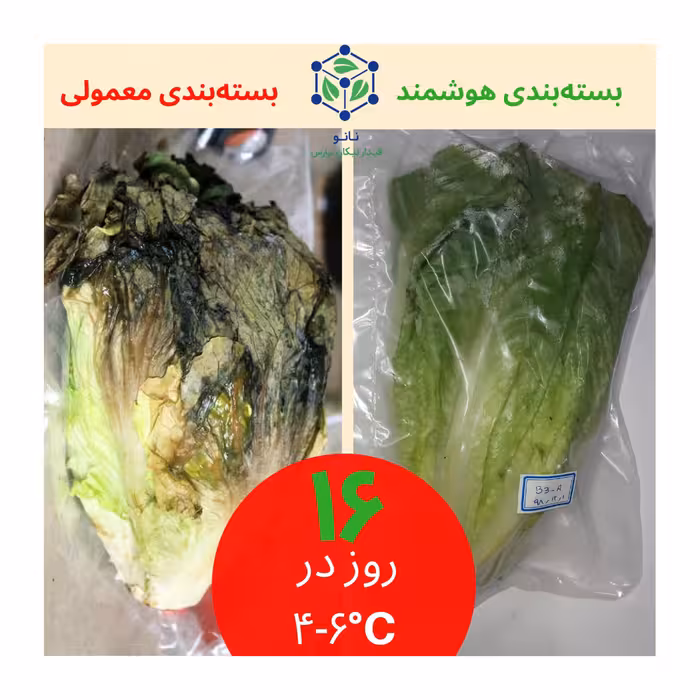 نایلون بسته بندی اکتیویت مدل هوشمند بسته 21 عددی