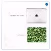 برچسب پوششی ماهوت مدل Army-Green-2 مناسب برای تبلت اپل iPad 2 2011 A1397