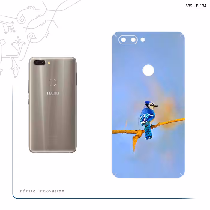 برچسب پوششی ماهوت مدل Cyanocitta cristata مناسب برای گوشی موبایل تکنو Phantom 8