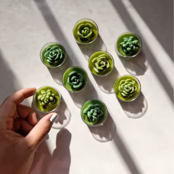 قالب شمع مدل کاکتوس مینیاتوری 5 تایی