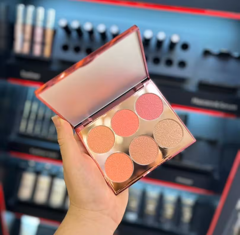 پالت رژگونه 6 رنگ فیوچر میکاپ FU4101 اصل