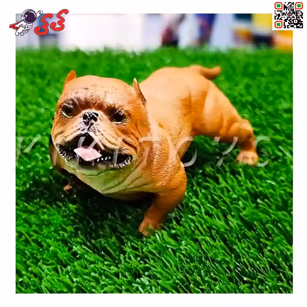 فیگور حیوانات سگ بولداگ اسباب بازی Fiqure of Dog 674