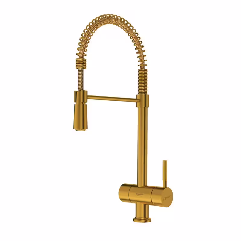 شیر آشپزخانه دومنظوره فنری شودر مدل آلستر طلا مات