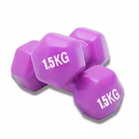 دمبل ایروبیک 1.5 کیلویی طرح رکورد Record