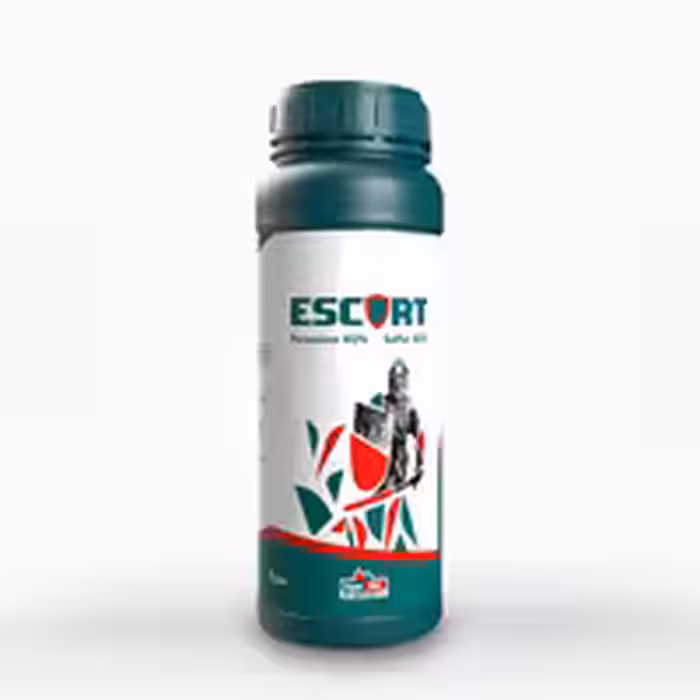 کود اسکورت سوپرمکس