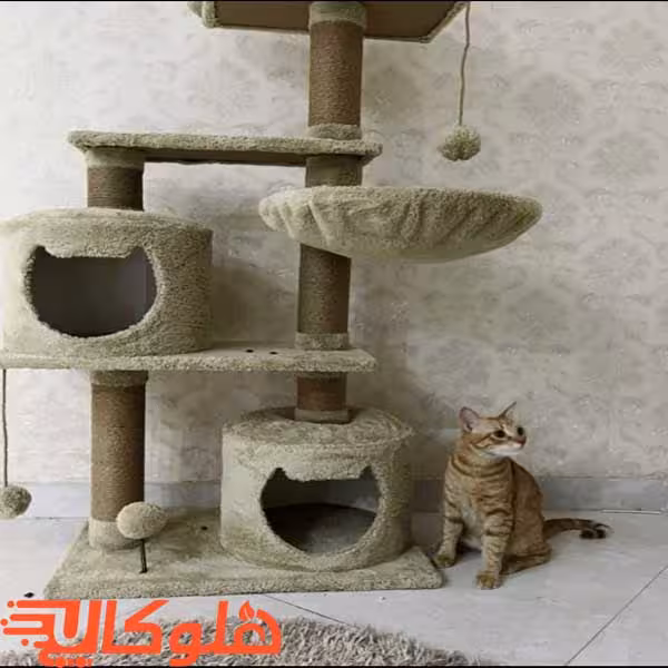 اسکرچر گربه مدل مندی ضمانت 6ماهه هلو کالا